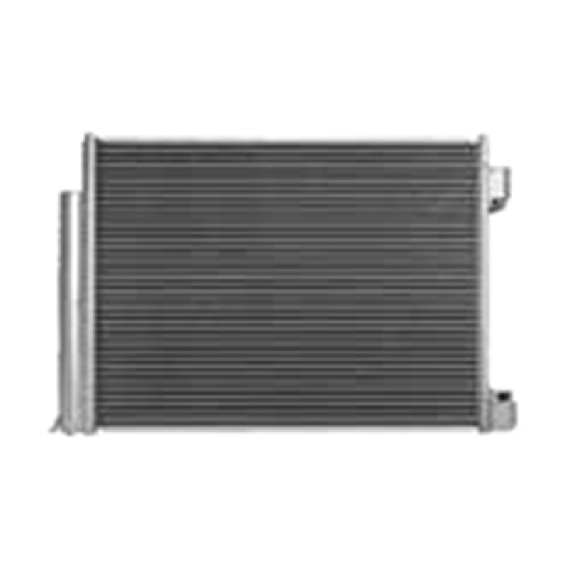 실피 2019 JR-LNQ-N054